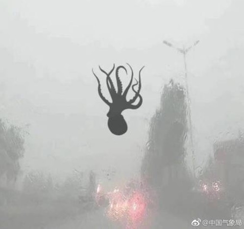 Дъжд от октоподи, морски звезди и скариди в Китай