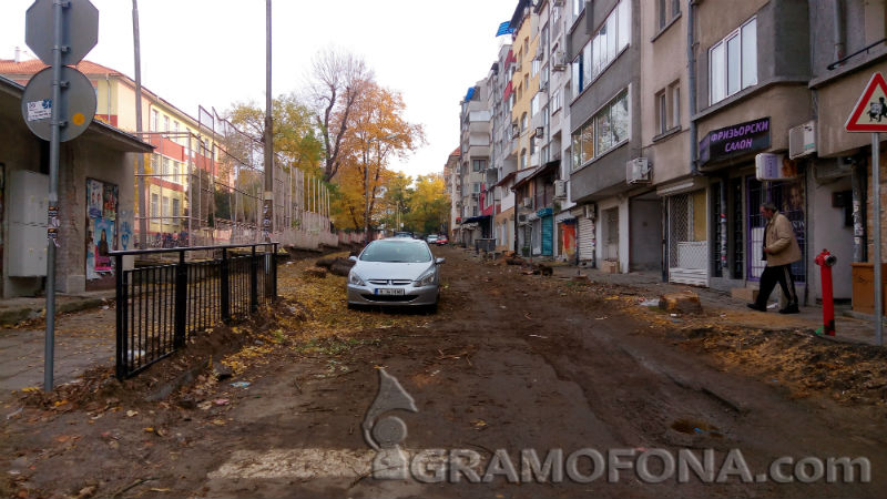 Отрязаха над 20 дървета във Възраждане