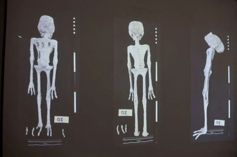 „Мумиите на извънземни“ в Перу са направени от земни кости, твърдят учени