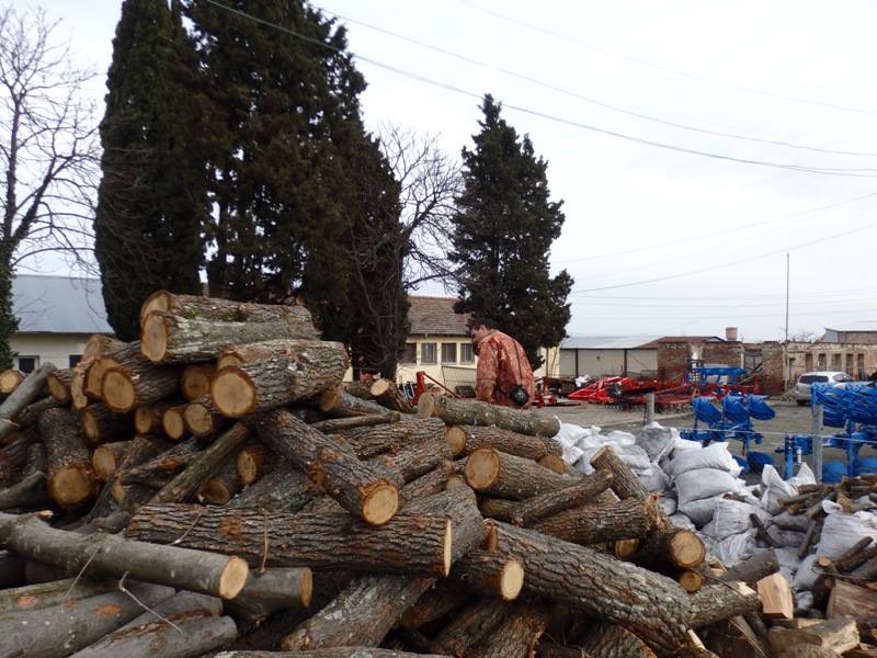 Дървата за огрев в Малко Търново най-евтини в страната