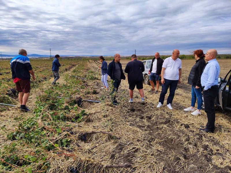 Държавата отпуска пари за пострадалите от бурята земеделци в Бургаско