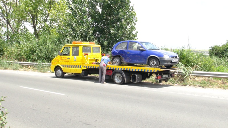 Трупове на маймуни по пътя?! Това видяха журналисти