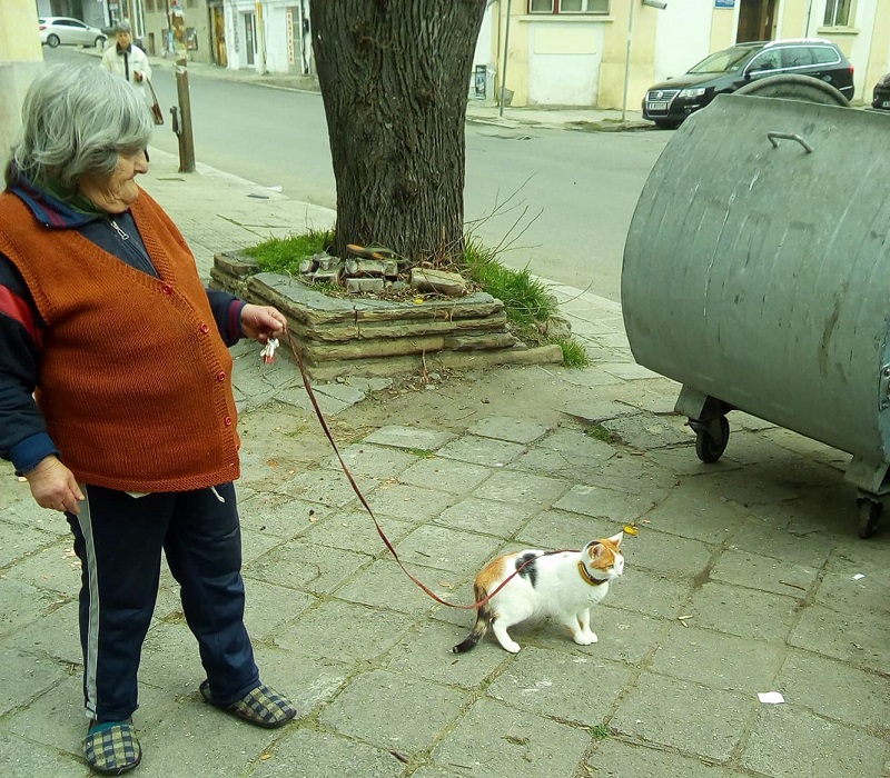 Бургазлийка с котка на каишка