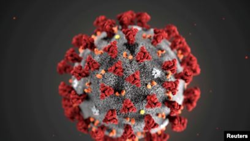 Още двама българи са заразени с коронавируса