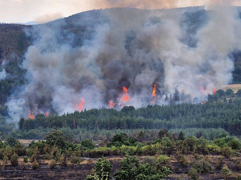 Десетки горски помагат при гасенето на пожарите в региона