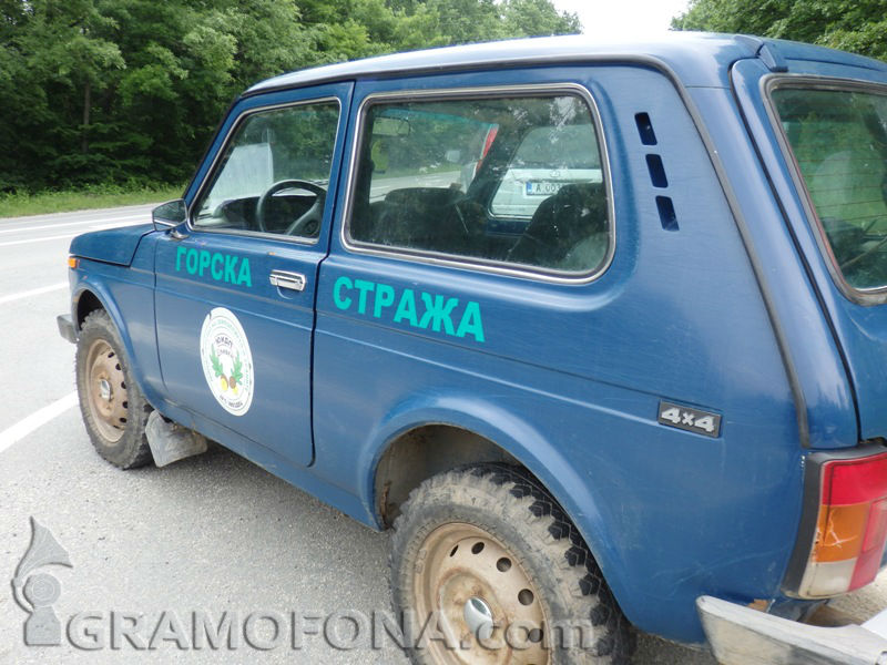 ЮИДП-Сливен: Заплахите към горските охранители зачестиха