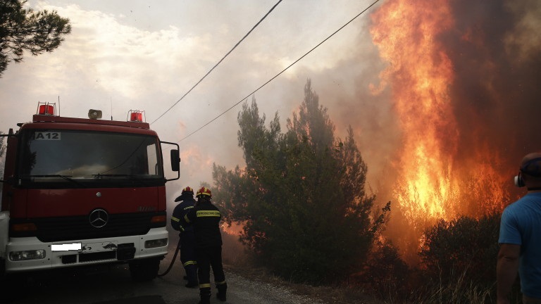 Пожарът край Твърдица е овладян