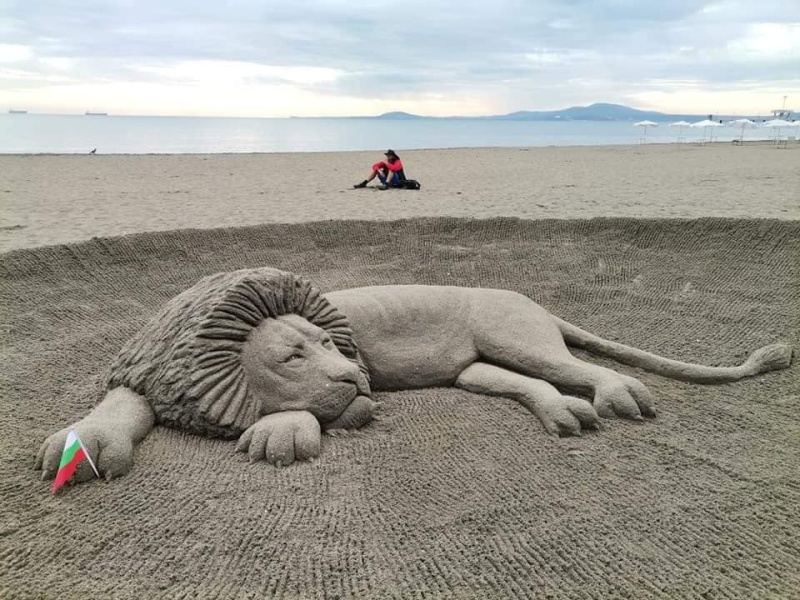 Огромен лъв се появи на бургаския плаж