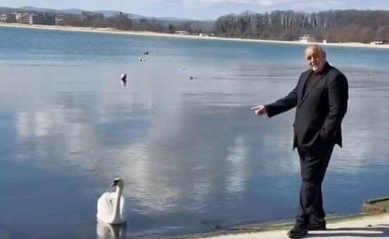 На обиколка в България: Борисов се срещна с лебед в Приморско
