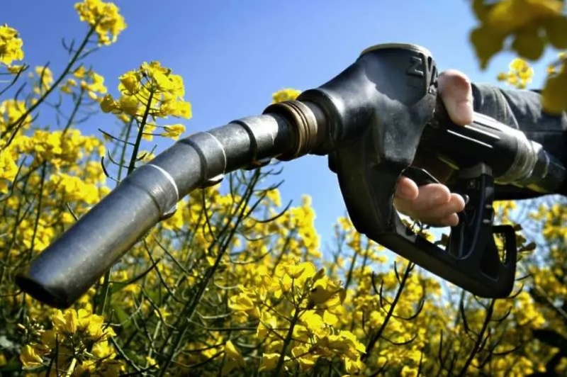 Германия разрешава зареждането на автомобили с чист биодизел
