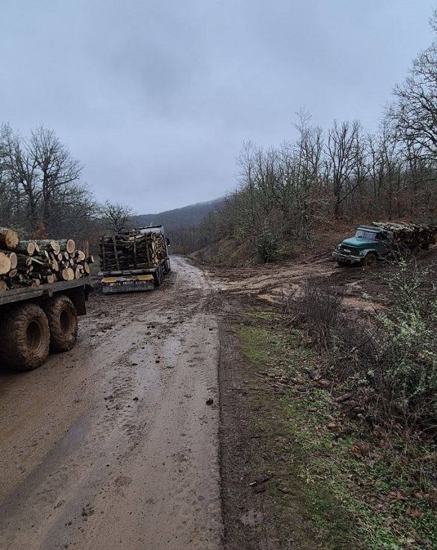Кметът на Малко Търново: Не приемам национална светиня да бъде третирана като временен дърводобивен терен