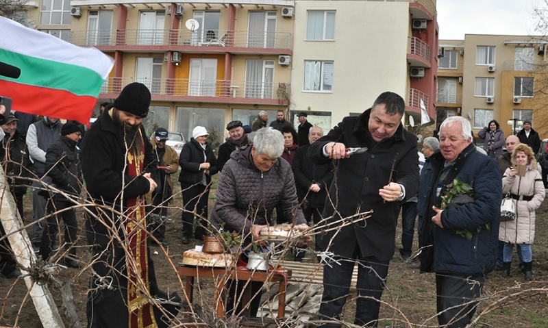 Общинарите в Несебър и Приморско зарязаха лозите в Гюльовца и Ново Паничарево