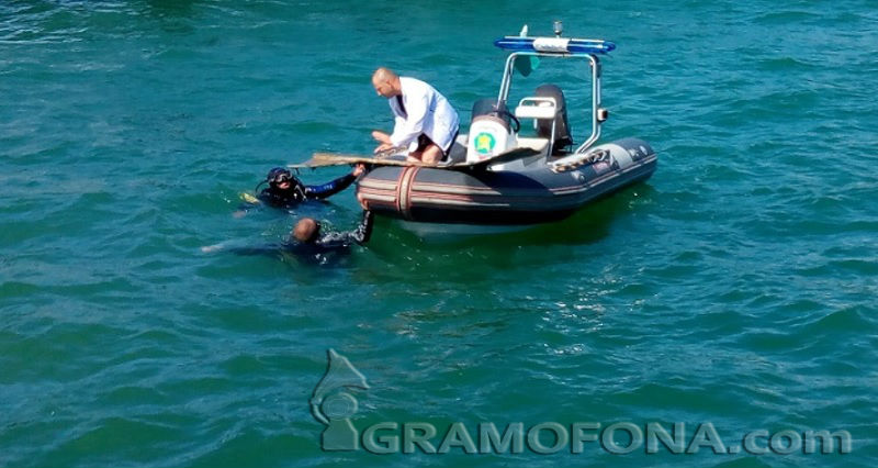 Тялото на момче изплува край Змийския остров, май е на работник от Каваците