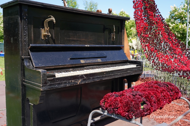 На около 100 години е немското пиано на Флората