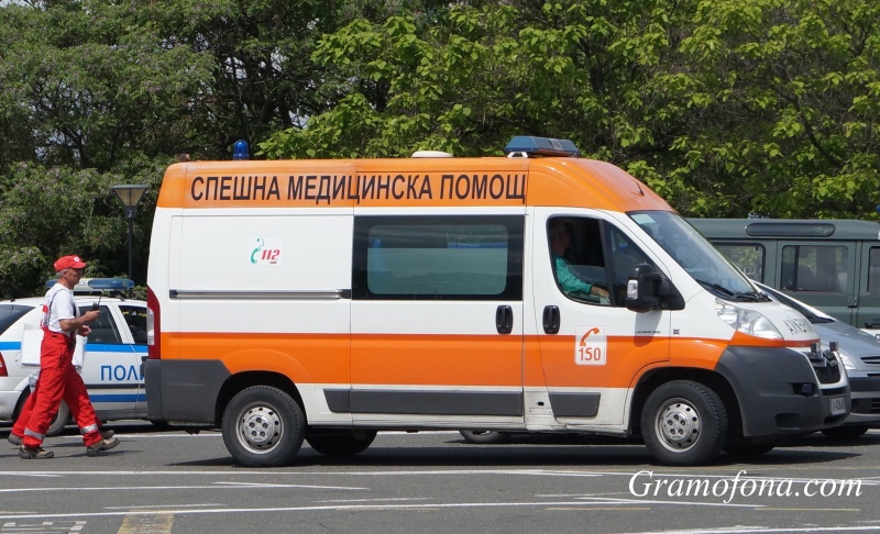 Дърво падна върху палатка и уби чешка туристка
