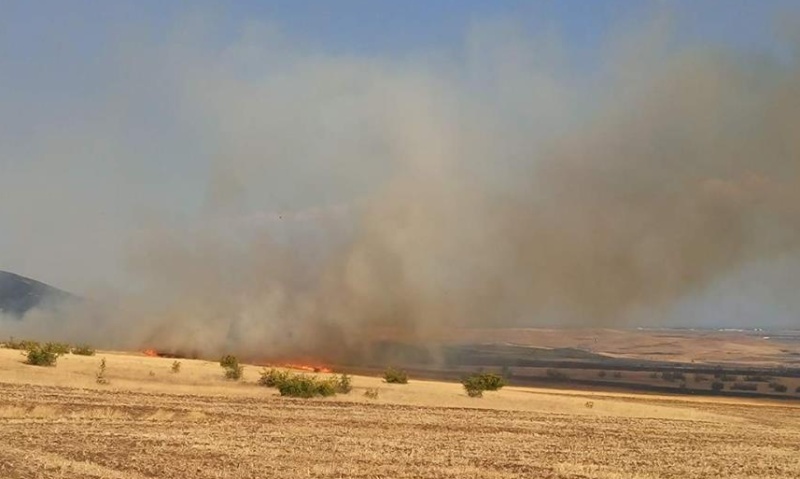 Пожарът на километър от Банево