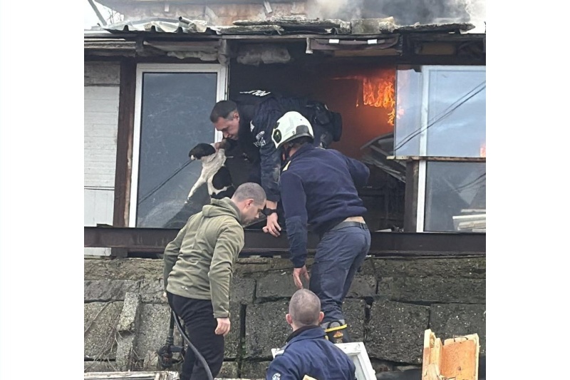 Полицаи спасиха коза и кучета от горяща къща в Банево
