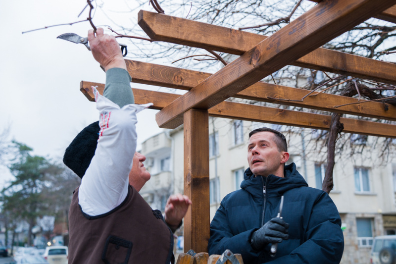 В Лозенец и Черноморец зарязаха лозите на новия Трифон Зарезан