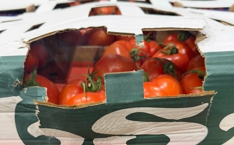 Недекларирани над 14 тона зеленчуци установиха митническите служители на МП Лесово