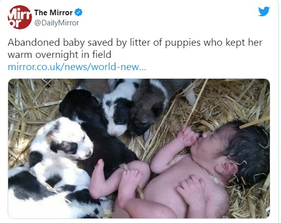 Малки кученца спасиха новородено бебе 