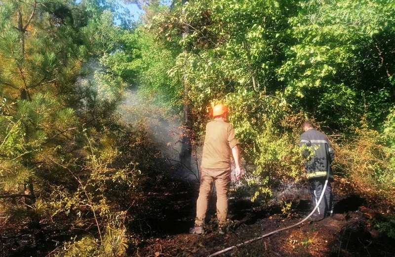 Усилията на горските служители от ДГС Бургас за потушаване на пожара край с. Изворище продължават