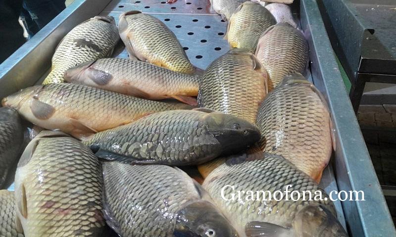 Ще посрещнем ли Никулден без българска риба на трапезата