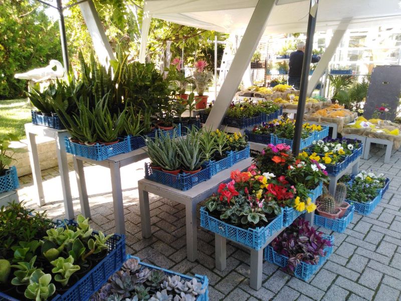 Последен ден за цветния базар „Флора Есен“ 