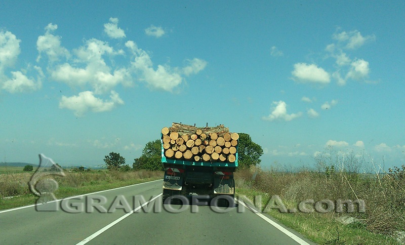 Хванаха в Маринка превозвач с дървата на жителите на Зидарово
