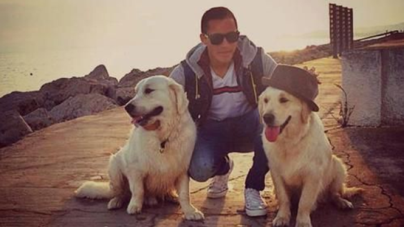 Алексис Санчес релаксира с кучетата си преди мача с Лудогорец