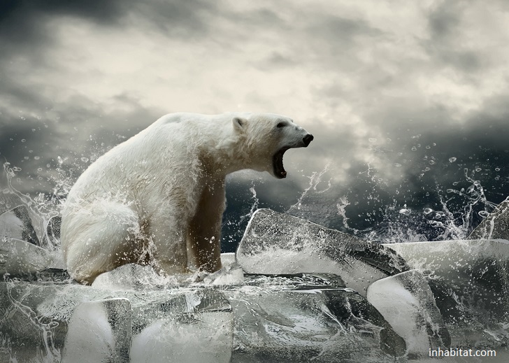 Откриха признаци за климатична катастрофа край Аляска