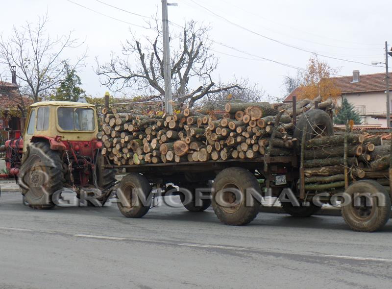 Скриха много кубици открадната дървесина в конна база край Бургаско