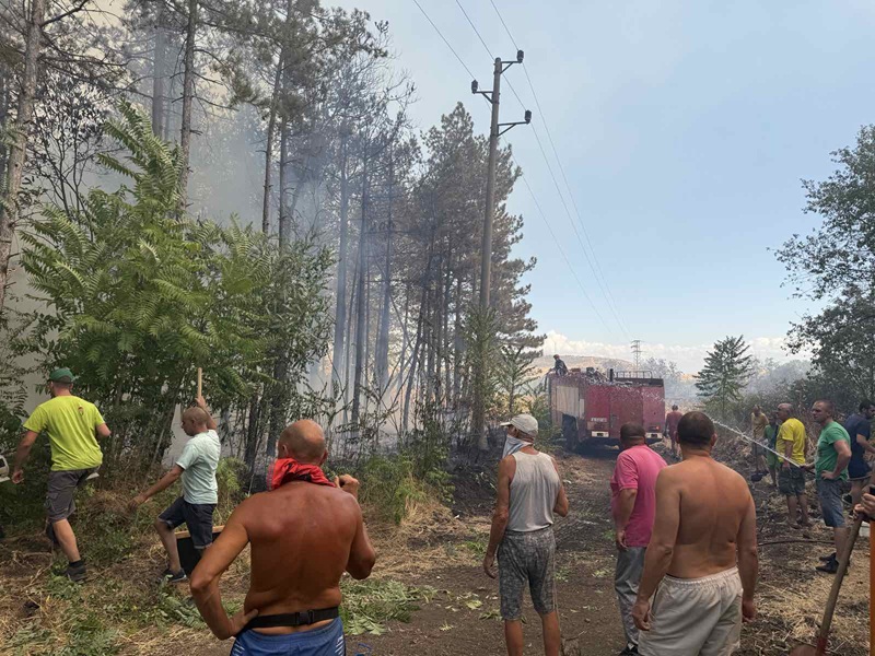 Край Българово изгоряха 17 постройки