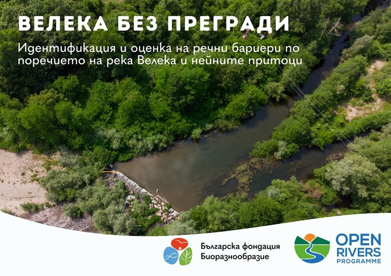 Велека без прегради