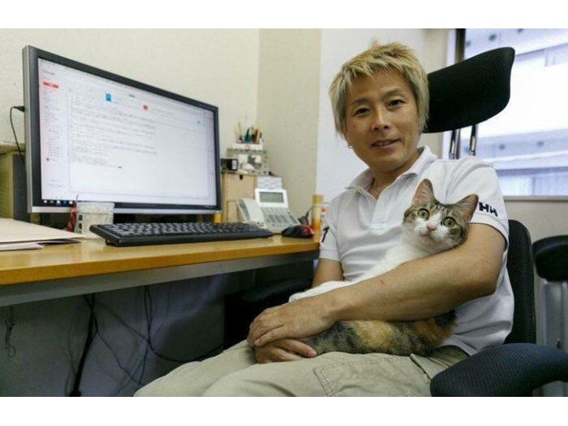 Японска фирма бори стреса на работното място с котки