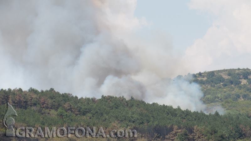 Вятърът разпали отново пожара край Изворище