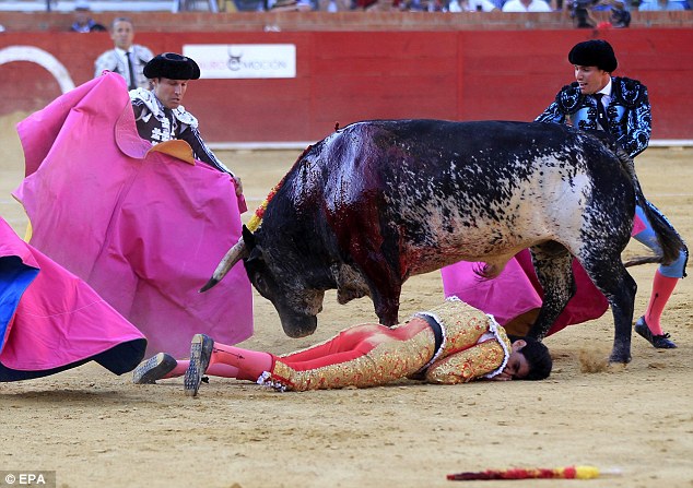 Окървавена традиция: Разярен бик уби матадор