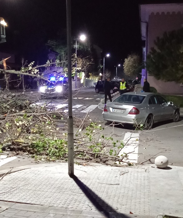 Огромно дърво падна на главната улица в Царево