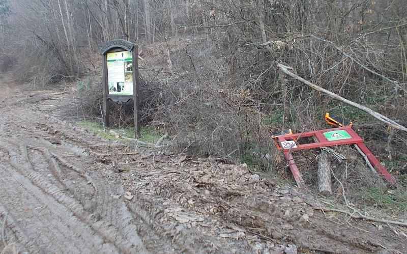 Дико Патронов алармира за разрушен път към водопада Докузак