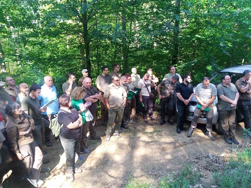 Горски специалисти от ЮИДП проведоха Регионални съвещания по стопанисване на горите в Бургаска област