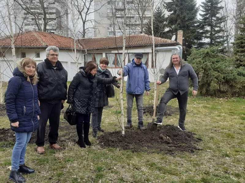 Бургазлии садиха брези 