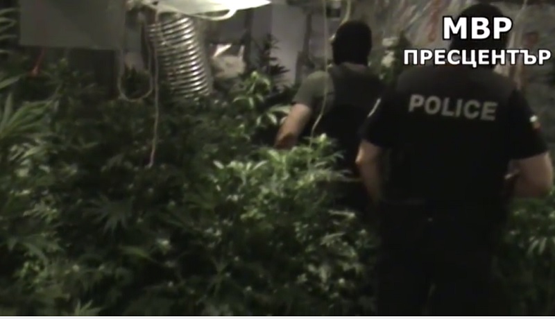 Вижте наркооранжерията на бургаска ММА звезда