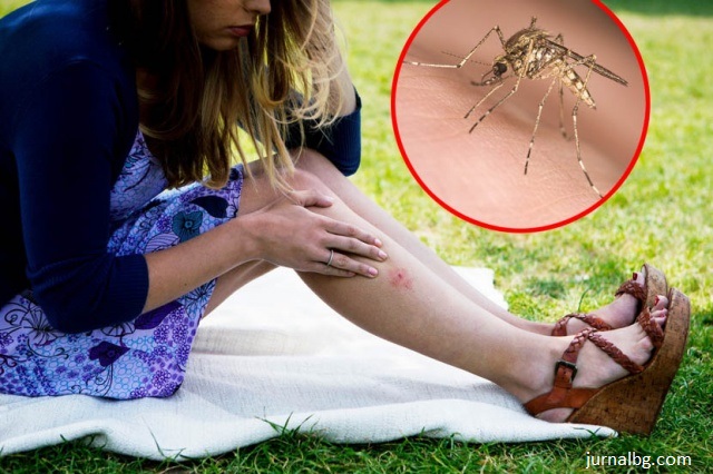 Три дни ще пръскат срещу комари в Бургас