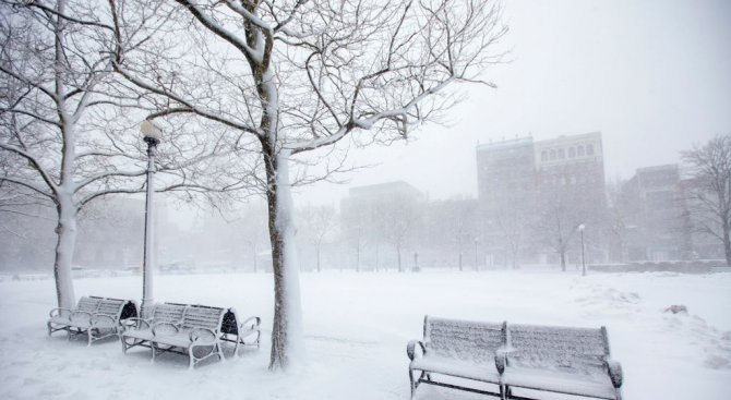 Снежна буря връхлетя Бостън