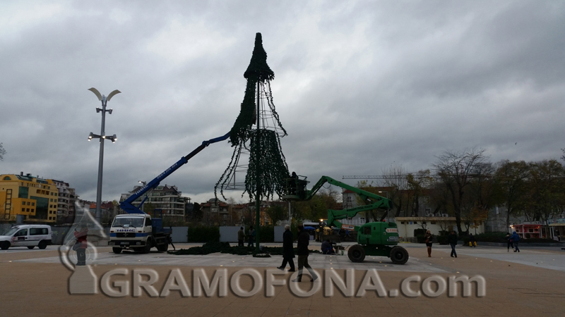 Подготовката на бургаската коледна елха започна