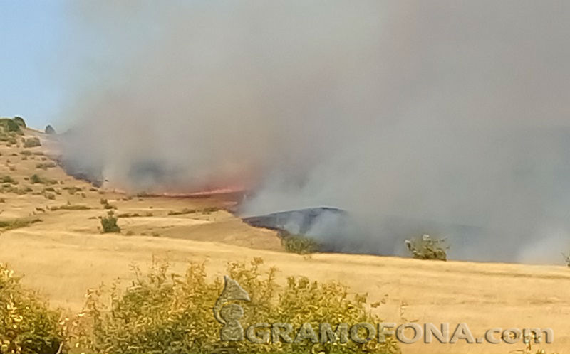 На Острицата още гори, полицията проверява 4 версии за пожара