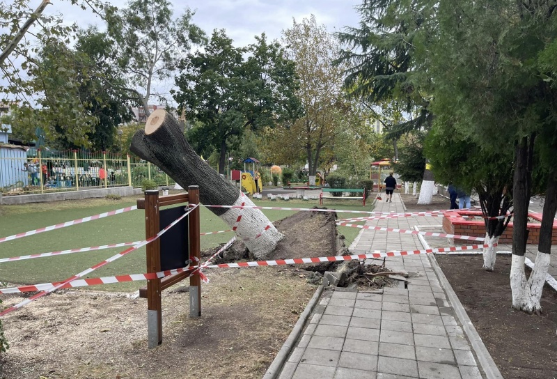 Затворници помагат за отстраняване на щетите от стихията в Бургас