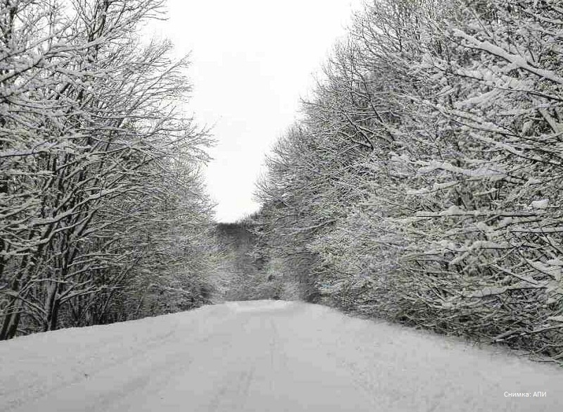  Сняг и паднали дървета затвориха проходите Троян – Кърнаре и Петрохан