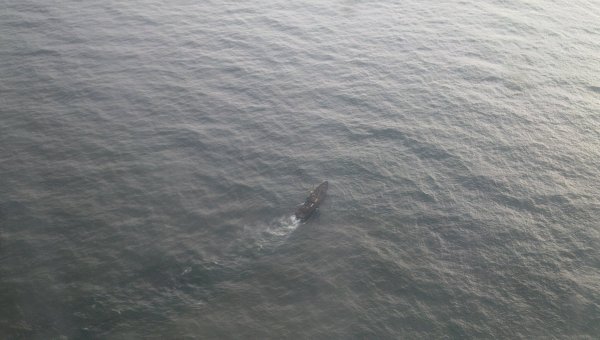 Траулер потъна в Охотско море. Жертвите са 54