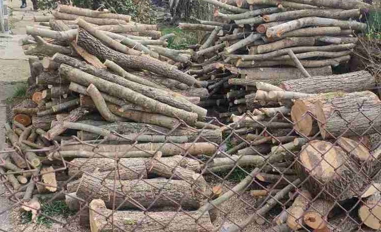 До края на ноември за всички в Созопол и селата ще има дърва за огрев