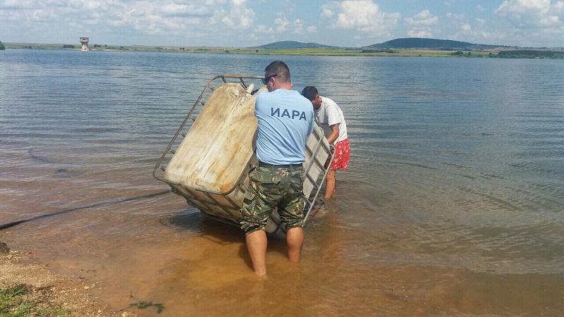 1 млн шаранчета в язовир Малко Шарково